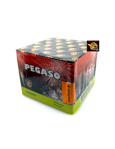 BATERÍA PEGASO