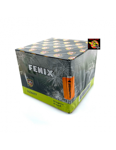 BATERÍA FENIX